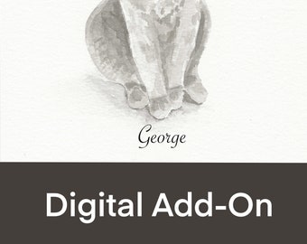 ADD ON - Digital File Download