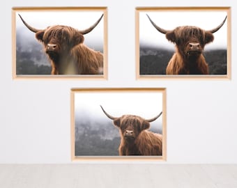 Set of 3 Highland Cow Print | Highland Cow Prints | Whimsy Animal Wall Art | Farmhouse Wall Art Prints | Farm Animal Print