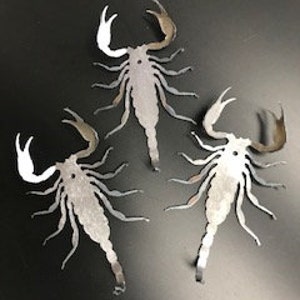 3 Large Scorpions