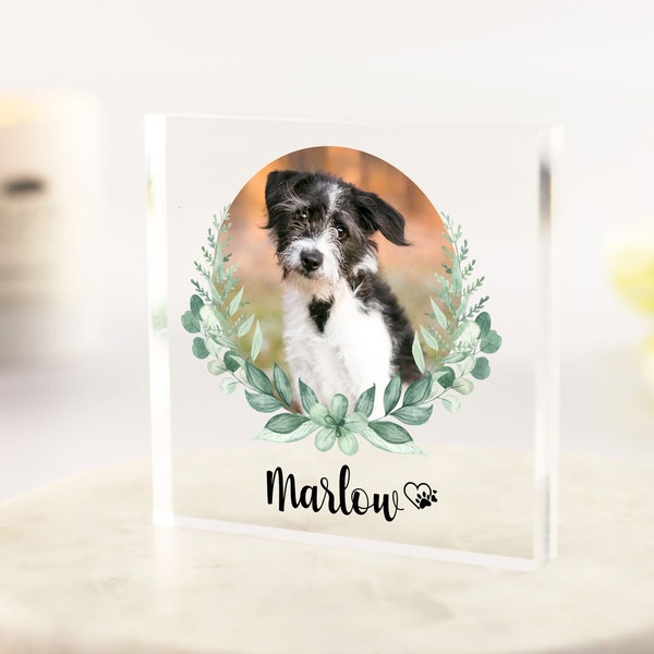 Gifts for Dog Owners 60+ Gift Ideas for 2023