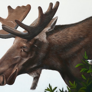 LIMITED EDITION PRINT - King of Maine - 16 x 24 inch framed Moose with chickadee art print.  Unique Realistic Original artwork by Tim Gagnon
