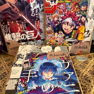 Blind Date With A Manga Book Bundle/Mystery Book Box/Manga Book set