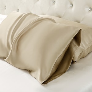 100% Natural Mulberry Silk Pillowcase, 19 Momme Silk Pillowcase 4 Sizes Available, Envelope Style Apricot