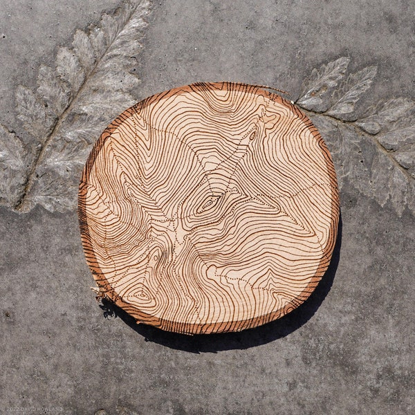 Mount Madison Birch Coaster - round wood coaster engraved with a topographic map / hiker New Hampshire mountains outdoors home decor gift
