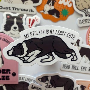 May include: A collection of colorful stickers featuring border collies. The stickers have various designs, including a dog with a ball, a dog with a sheep, and a dog with the text "My Stalker is at Least Cute".
