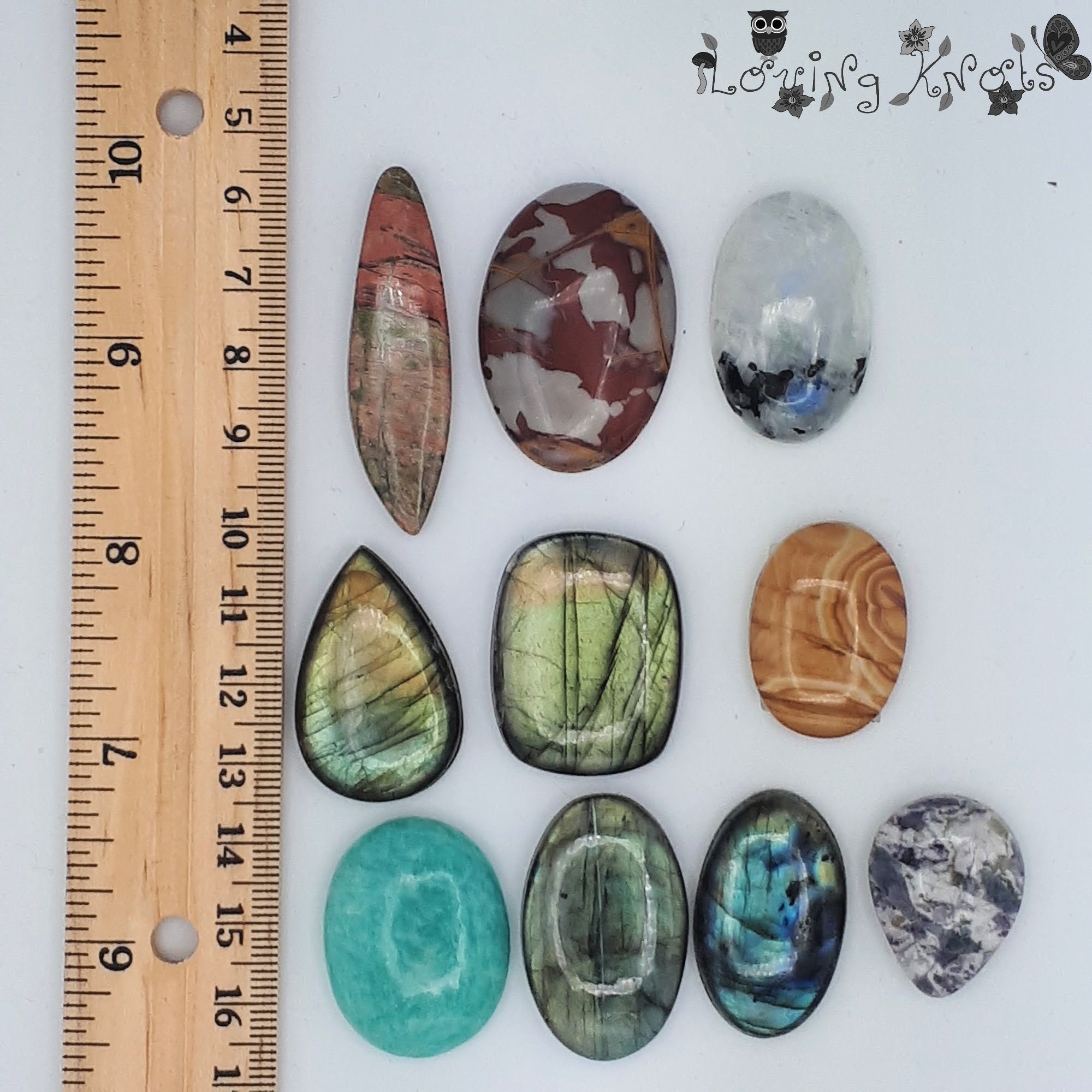 CABOCHON ARD HUMBAUR NEW