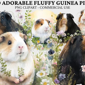 Guinea Pigs Clipart Watercolor Flower Guinea Pigs Png Clip art Watercolor Cute Fluffy Potato Small Furry PNG Commercial Use Digital Download