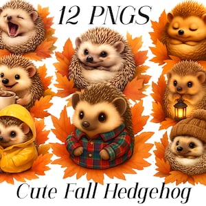 Clipart aquarelle hérisson, hérisson d'automne, animaux de la forêt, créatures de la forêt, illustration de hérisson, hérisson de chambre d'enfant, cadeau hérisson mignon