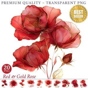 20 flores abstractas Clipart rosa roja TRANSPARENTE PNG Impresión acuarela rosa roja dorada Clipart acuarela floral papel artesanal flor rosa dorada