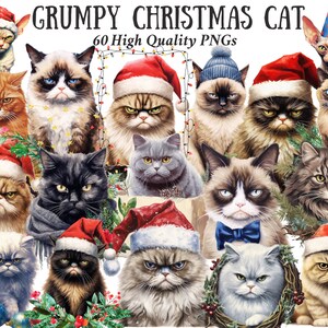 Grumpy Christmas Cat Clipart Bundle Kitten PNG Seasonal Holiday Clip Art Bundle Grumpy Cat Scrapbook Cat Christmas Clipart Vintage Cat Art