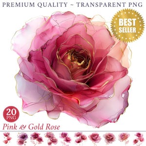 20 flores abstractas clipart acuarela rosa rosa clipart PNG acuarela rosa floral papel artesanía arte abstracto rosa dorada arte de pared diario basura
