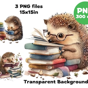 Aquarell Igel Clip Art Igel lesen Buch Kostenlose kommerzielle Nutzung Cute Baby Igel Aquarell Digitaler Download Png Print On Demand