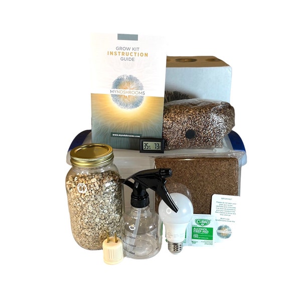 Mycelium Mushroom Grow Kit Etsy
