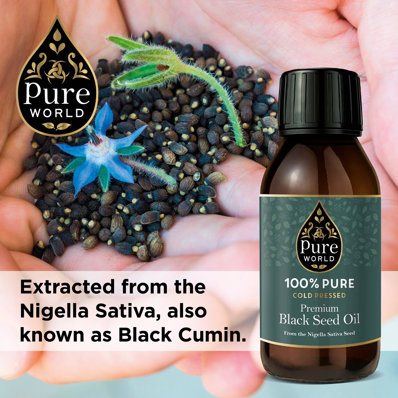 100 Cold Pressed Black Seed Oil 100ML High Thymoquinone x3.7 Etsy 100 Cold Pressed Black Seed Oil 100ML High Thymoquinone x3.7 Etsy