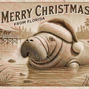 Frohe Weihnachten aus Florida 3D Illusion Art - Tropische Feiertags Seekuh-Szene | Laserbereit | 14x8