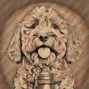Laserbranden, png-bestand | 3D-illusie | Graveren | Gereed voor laser | Digitaal ontwerpbestand | Goldendoodle | Hond | Gouden krabbel