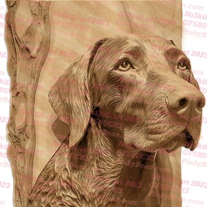 Laser Brennen PNG | 3D Illusion | Gravur | Laserbereit | Digitale Designdatei | Labradorit | Vizsla