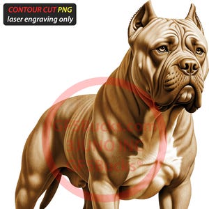May include: A detailed illustration of a muscular brown dog, possibly a Pit Bull, with a white patch on its chest. The dog is standing, facing forward, with text at the top left that reads "CONTOUR CUT PNG laser engraving only".
