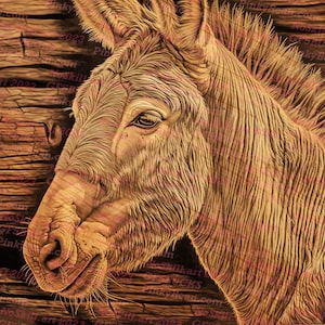 Laser Brennen PNG | 3D Illusion | Gravur | Laserbereit | Digitale Designdatei | Esel | Burro | Maultier