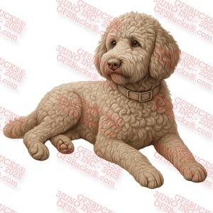 Labradoodle con ilusión 3D PNG – Diseño de compañero canino rizado – Archivo de grabado láser – 13.93 x 12.17 – GF5Bucks®