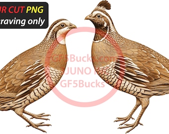 3D Illusion Quail Pair Art for Laser Engraving | PNG Digital File | 14.00x7.43 Inch | GF5Bucks®