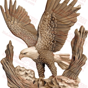 Weißkopfseeadler Design PNG, 3D Illusion Kunst für die Lasergravur, majestätische Adler digitale Datei | 11x14