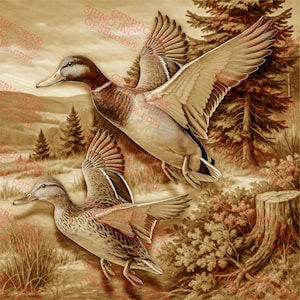 Enten 3D Illusion Laser Gravur PNG Design | Wildtiere Wand Kunst, Natur Dekor | Wildtiere Illustration | Digitale PNG | 14x14