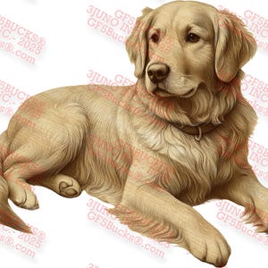 Golden Retriever con ilusión 3D PNG: Diseño de perro fiel compañero. Archivo de grabado láser. Tamaño 14 x 10,9. GF5Bucks®