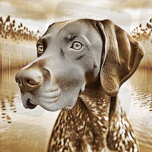 May include: A close-up of a brown and black German Shorthaired Pointer dog looking to the left. The dog is standing in front of a body of water with reeds in the background. The image is in sepia tone.