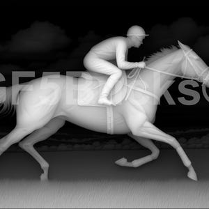 Peut inclure: Image monochrome d'un cheval de course et d'un jockey en mouvement. Le cheval est blanc, avec le jockey dans une tenue assortie. L'arrière-plan présente un ciel sombre avec des nuages et un champ herbeux. Le mot "GEEKS" est visible.