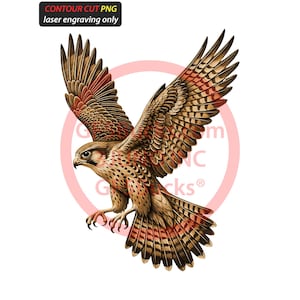 May include: A detailed illustration of a falcon in flight, with wings spread wide. The bird features brown, red, and tan feathers, with a speckled chest and sharp talons. The image includes the text "CONTOUR CUT PNG laser engraving only".