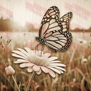 Monarchfalter auf Blume 3D Illusion Lasergravur PNG Digitale Design Datei (14 x 14 in) - GF5Bucks® Natur gravierte Kunst