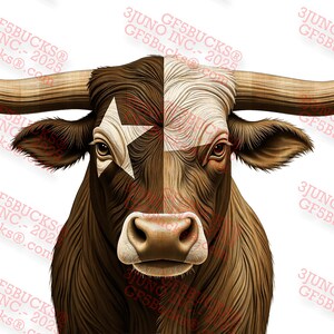 Può includere: Illustrazione dettagliata di un toro longhorn con un disegno della bandiera del Texas sul suo volto. Il toro ha grandi corna curve e un mantello marrone e bianco. La bandiera del Texas è divisa sul volto del toro.