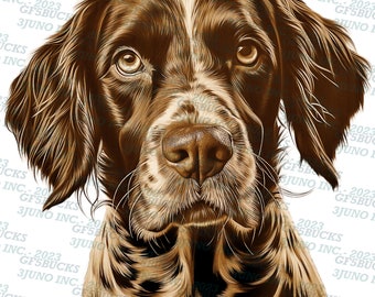 May include: A close-up portrait of a brown and white dog with a serious expression. The dog has brown eyes, a long snout, and floppy ears. The dog's fur is short and smooth.