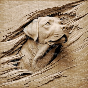 3D Illusion | Laser PNG Digitale Datei | zum Gravieren | Laserbereit | Sofortdownload | Labradorit | Beste Freundin
