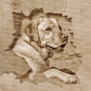 3D Illusion | Laser PNG Digitale Datei | zum Gravieren | Laserbereit | Sofortdownload | Labradorit | Beste Freundin