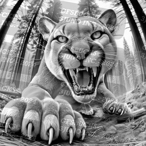 May include: A black and white photo of a mountain lion with its mouth open, showing its teeth. The lion is in a forest setting, with tall trees in the background. The lion's paw is in the foreground, with sharp claws visible.