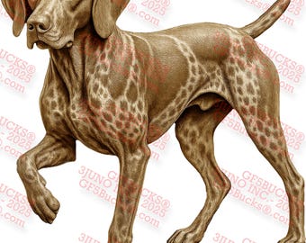 3D Illusion German Shorthaired Pointer Dog PNG for Laser Engraving – 13.15x13.98 Inches – GF5Bucks®