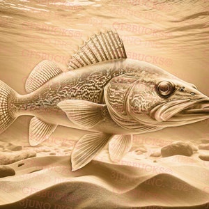 May include: A golden walleye fish with a detailed texture swims in a sandy underwater scene. The fish is facing right and has its mouth slightly open. The background is a light brown colour with a few rocks.