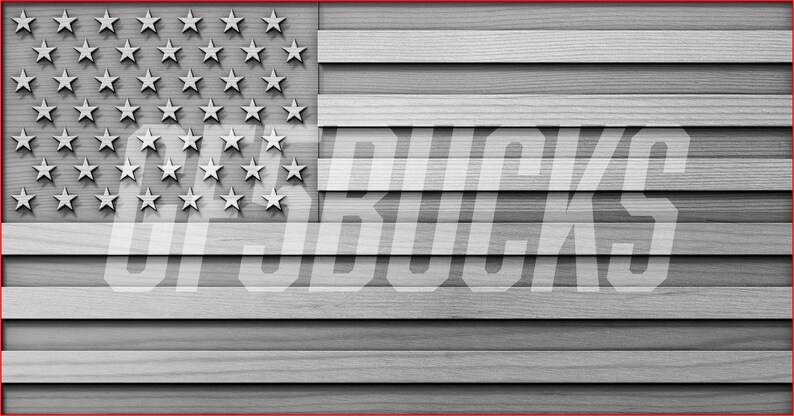 May include: A black and white image of an American flag with the words "USA BUCKS" in white text across the middle of the flag.