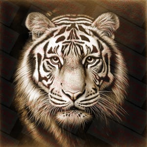 May include: A close-up portrait of a white tiger with black stripes. The tiger's face is in focus, with its eyes looking directly at the viewer. The background is a dark brown color.