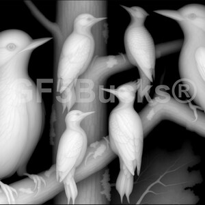 Peut inclure: Image en niveaux de gris de plusieurs pics perchés sur des branches d'arbres. Les oiseaux sont représentés dans un style artistique détaillé, avec des plumes et des becs visibles. Le fond est sombre, mettant en valeur les oiseaux.