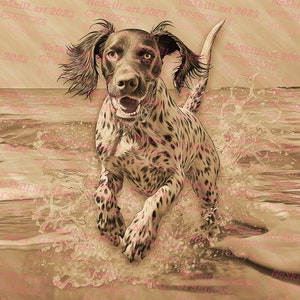 May include: A brown and white spotted dog runs through the water on a beach. The dog has a long snout and floppy ears. The water is a light brown colour and there is a sunset in the background.