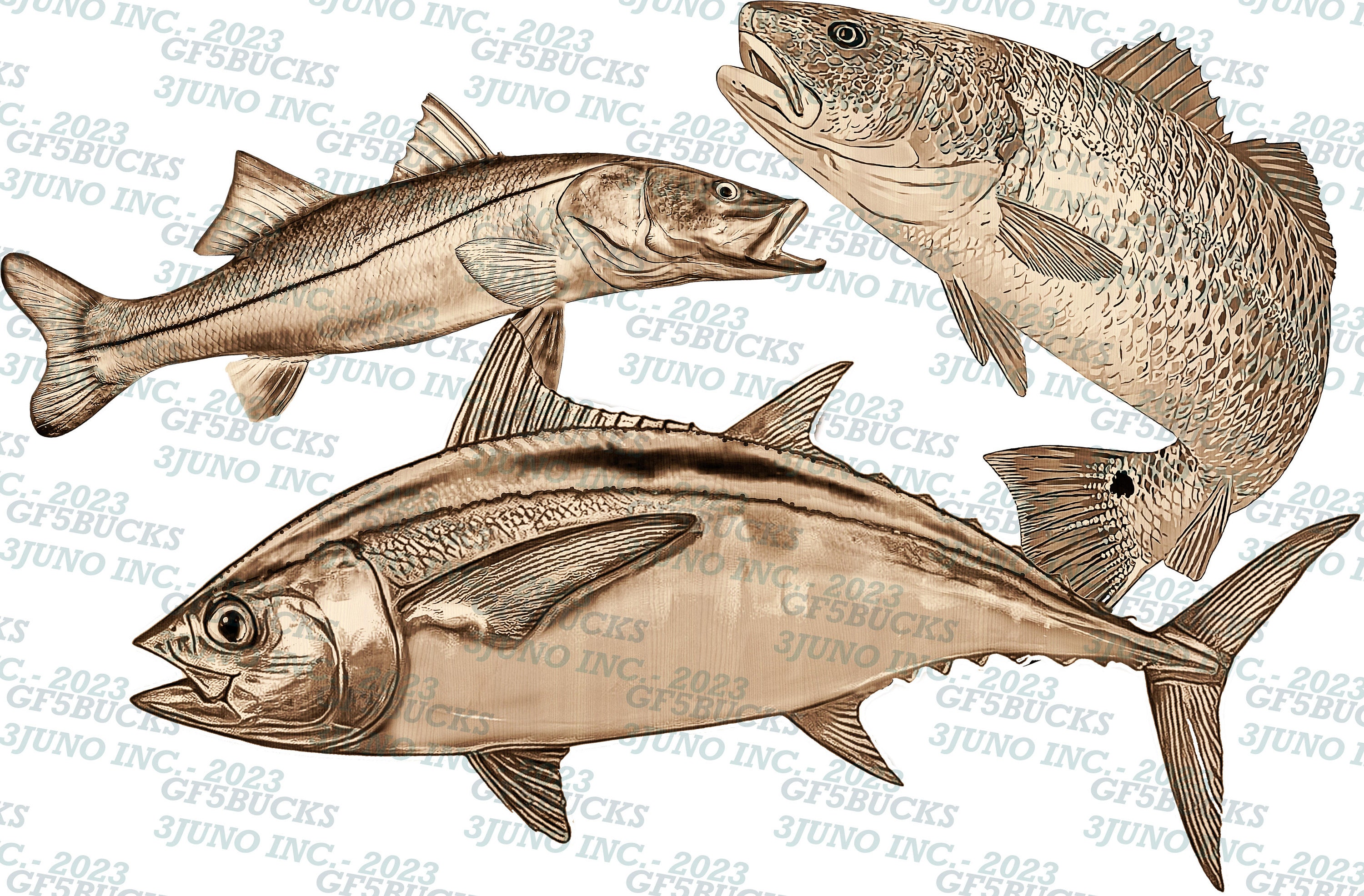 Tuna Fish Design 