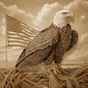 Eagle 3D Illusion Laser Engraving PNG Design - Laser Burn PNG | Pronto para Laser | Arquivo de Design Digital | 14x14