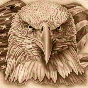 Laser Burn PNG | 3D Illusion | Engrave | Laser Ready | Digital Design File | Bald Eagle | Freedom | Flag | USA | Patriotic