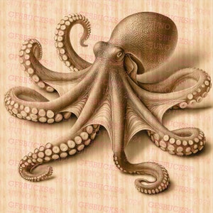 Octopus 3D-illusie digitaal bestand - klaar voor lasergravure (directe download, png)