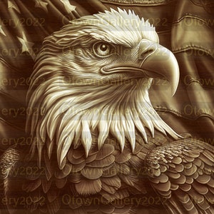 Laser Burn PNG | 3D Illusion | Engrave | Laser Ready | Digital Design File | Eagle | Flag
