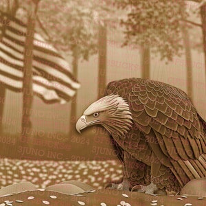 Eagle, Patriotic, Wildlife, Bird of Prey - Laser Burn PNG | 3D Illusion | Engrave | Laser Ready | Digital Design File