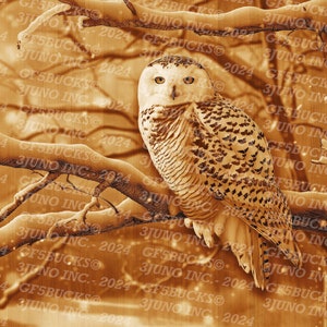 3D Illusion | Laser PNG Digital File | For Engraving | Laser Ready | Instant Download | Snowy Owl